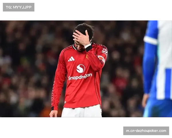 维尔贝克激活续约选项 布莱顿锋线老将作用获认可